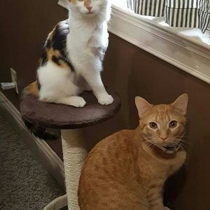 Meet your Posher, Tracy